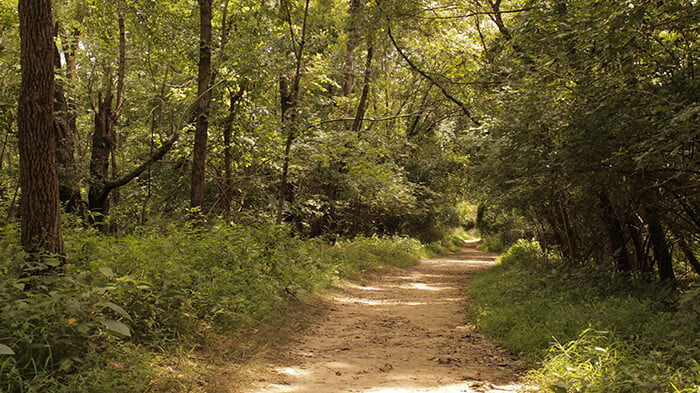 E.P “Tom” Sawyer State Park