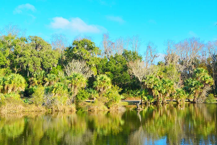 Kathryn Abbey Hanna Park