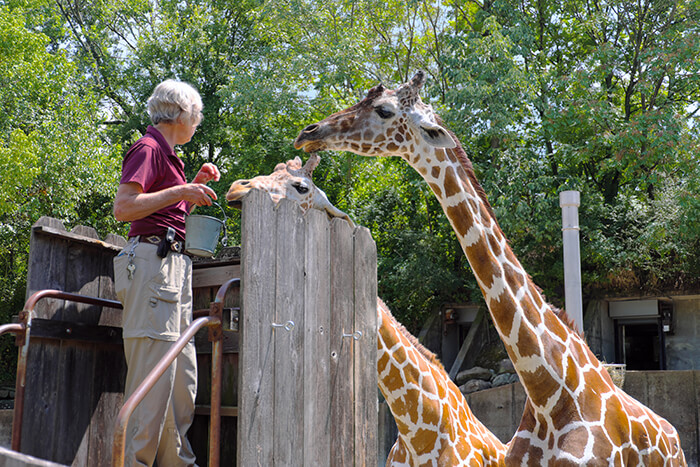 Memphis zoo