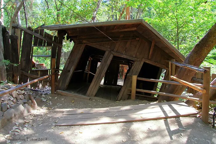 Oregon Vortex