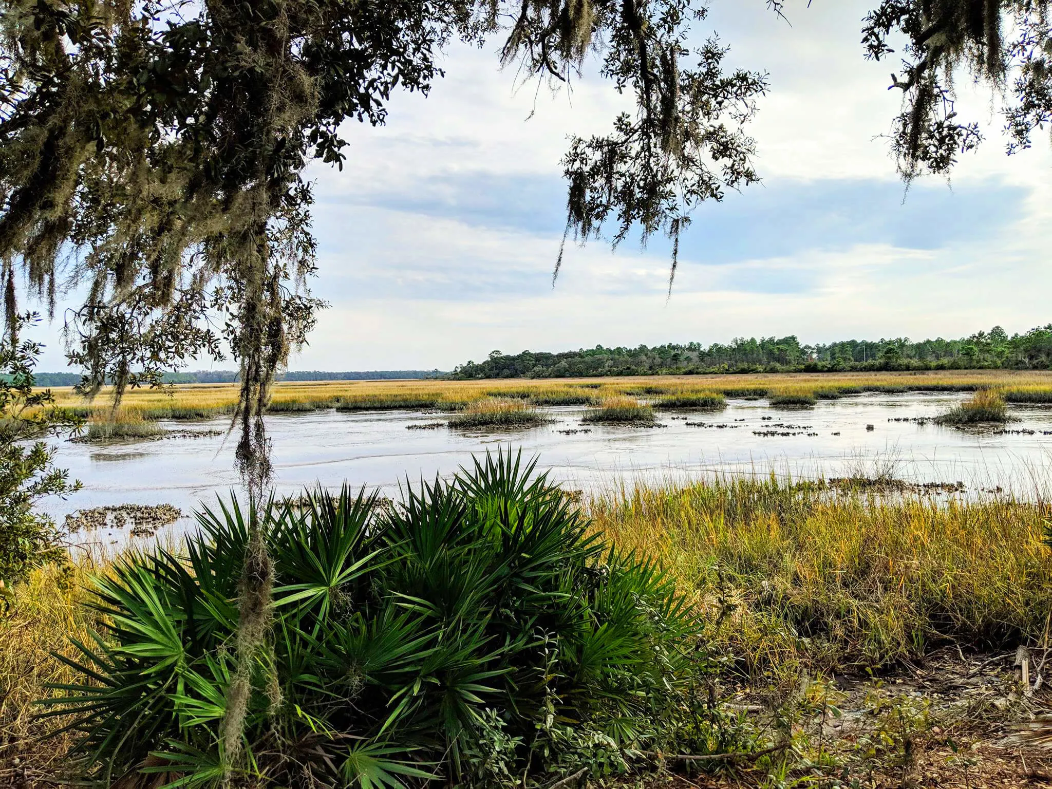 Pumpkin Hill Creek Preserve State Park