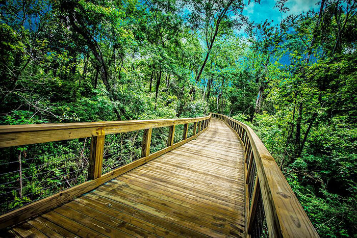 Tree Hill Nature Center