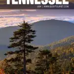 fun things to do in Tennessee