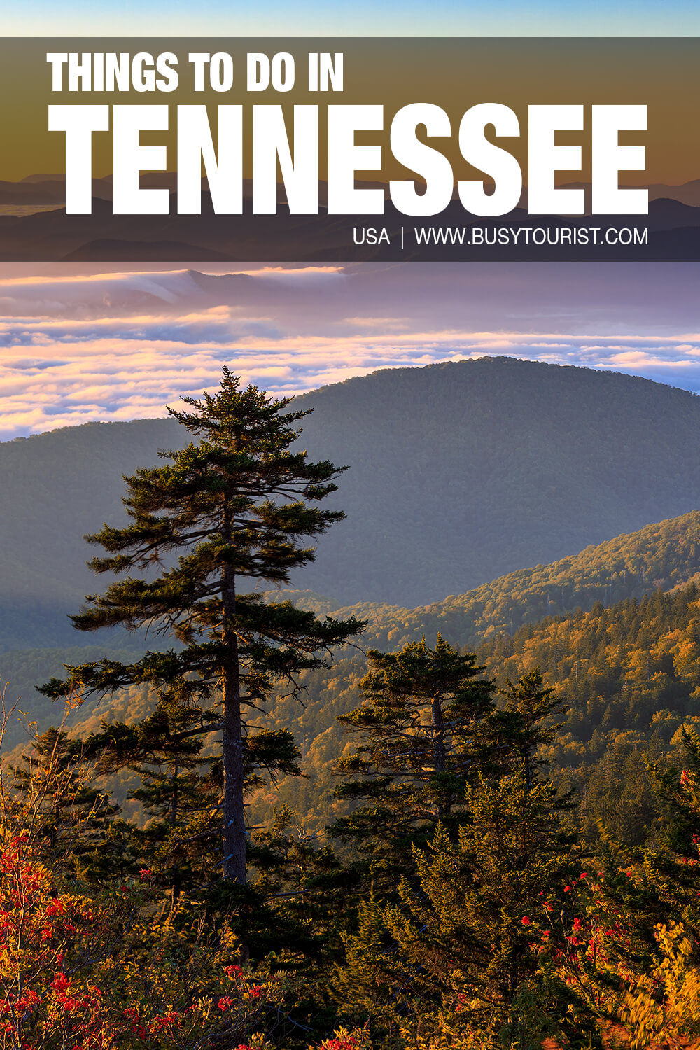 30 Best & Fun Things To Do In Tennessee Attractions & Activities