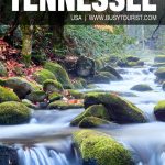 things to do in Tennessee