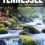 things to do in Tennessee