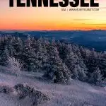 things to do in Tennessee