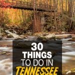 things to do in Tennessee