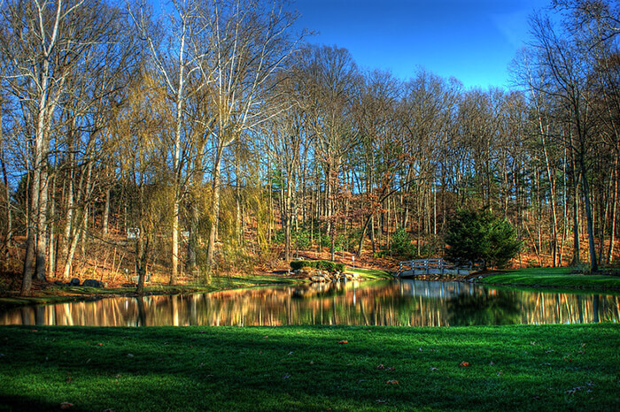 Edith J. Carrier Arboretum