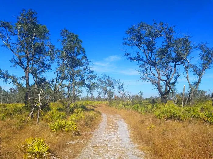 Lake Manatee State Park