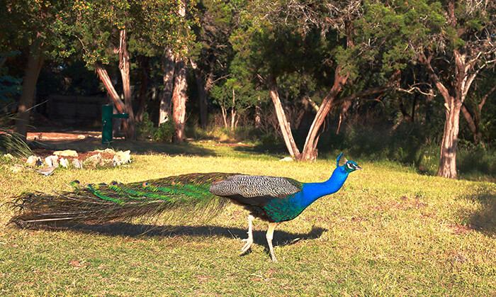 Mayfield Park and Nature Preserve