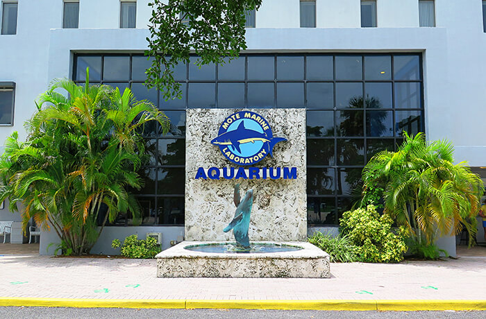 Mote Marine Laboratory and Aquarium