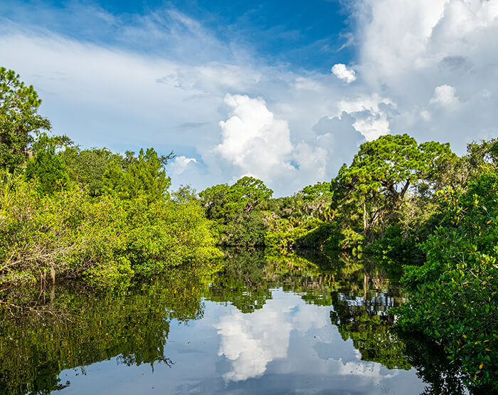 Oscar Scherer State Park