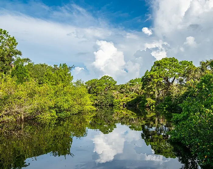 Oscar Scherer State Park