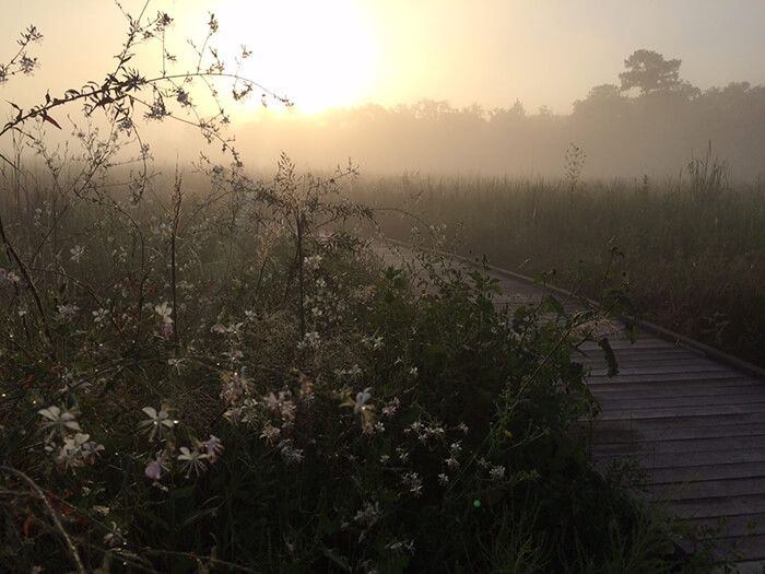 Sheldon Lake State Park