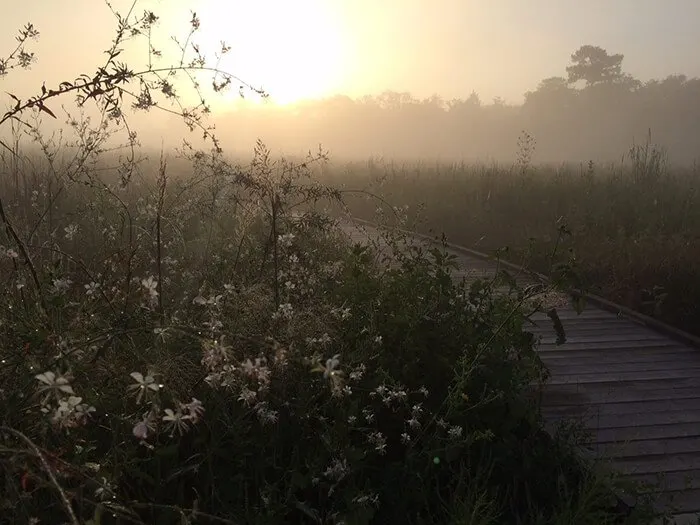 Sheldon Lake State Park