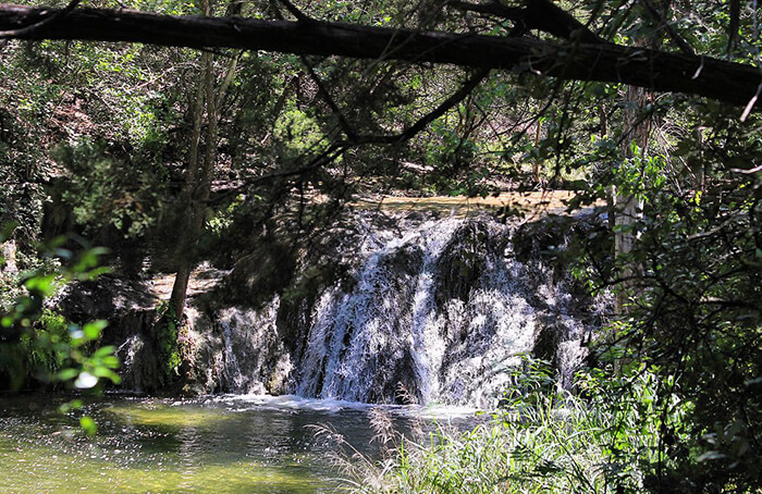 Wild Basin Wilderness Preserve austin