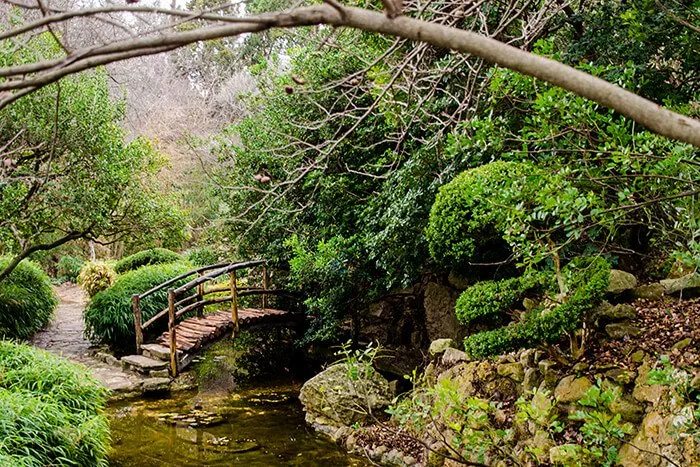 Zilker Botanical Garden