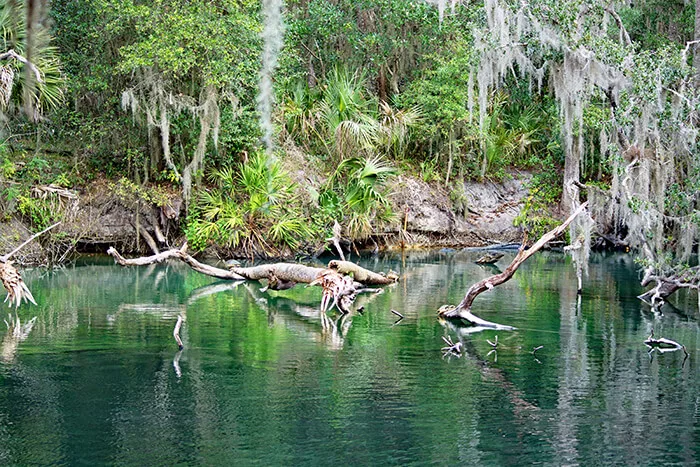 Blue Spring State Park