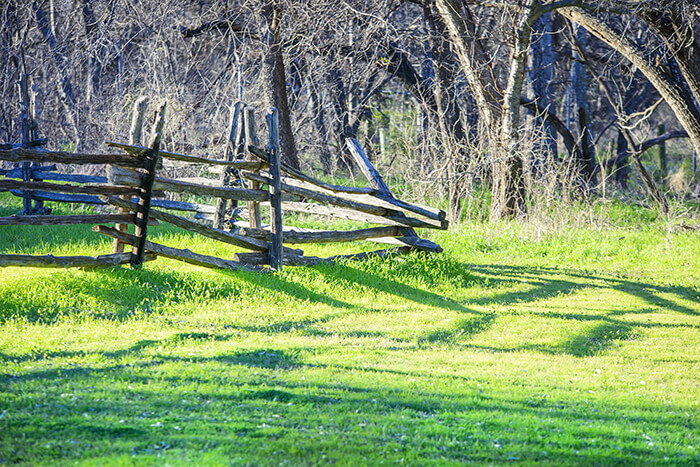 Cedar Hill State Park