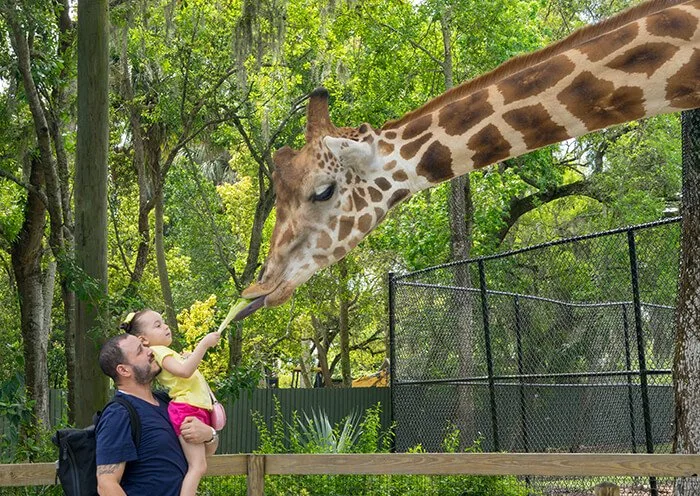 Zoológico y jardines botánicos de Florida central