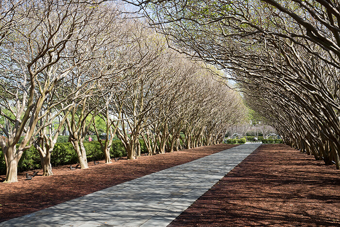 Dallas Arboretum & Botanical Garden