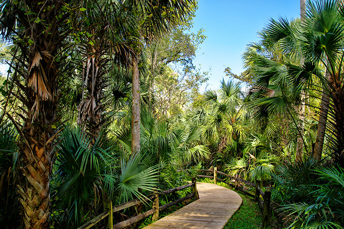 Ocala National Forest