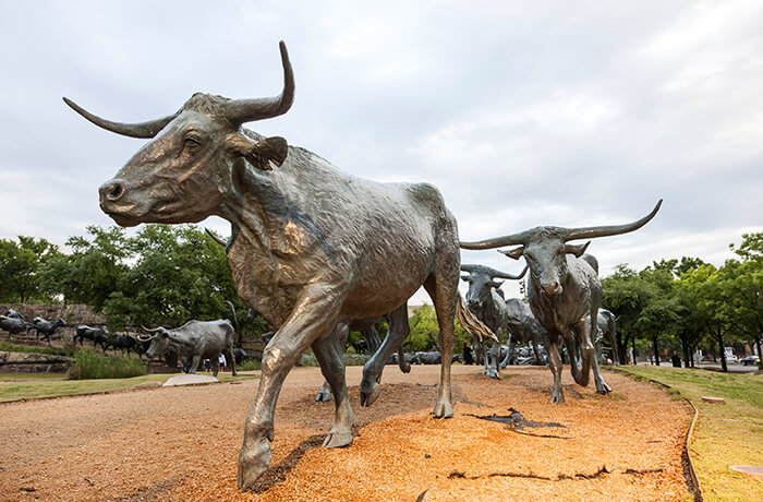 Pioneer Plaza