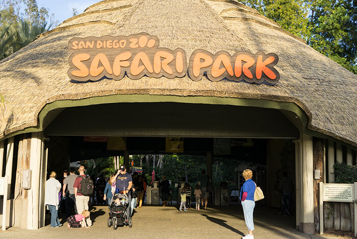 San Diego Zoo Safari Park