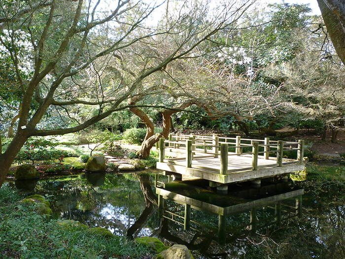 San Francisco Botanical Garden