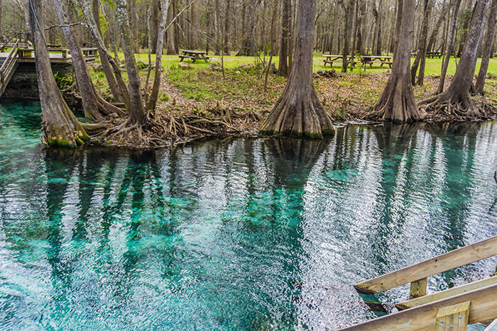 Wekiwa Springs State Park