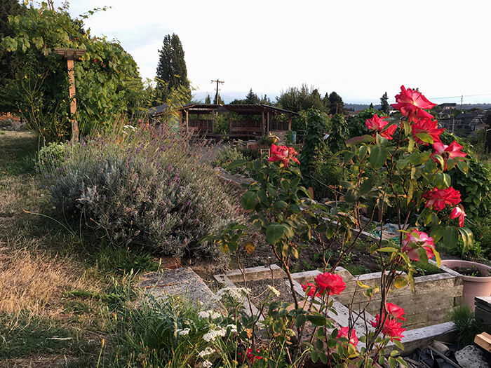 Beacon Food Forest