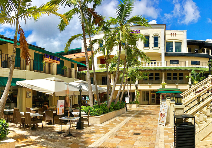 Coconut Grove