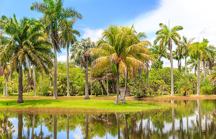 Fairchild Tropical Botanic Garden