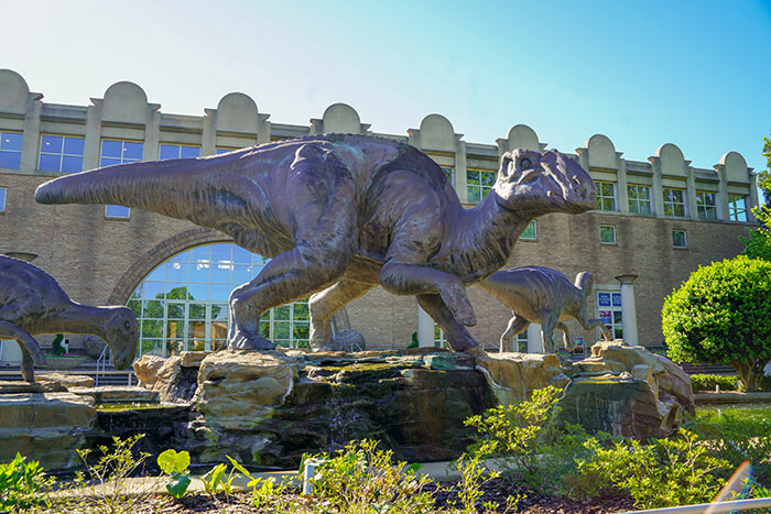 Fernbank Museum of Natural History