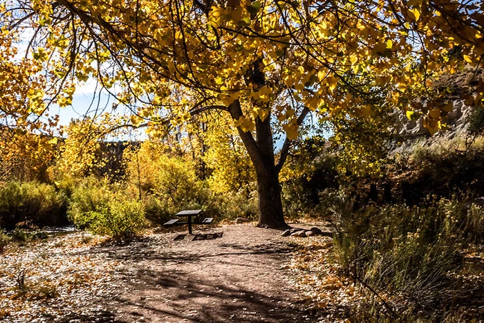 Garden Park Fossil Area