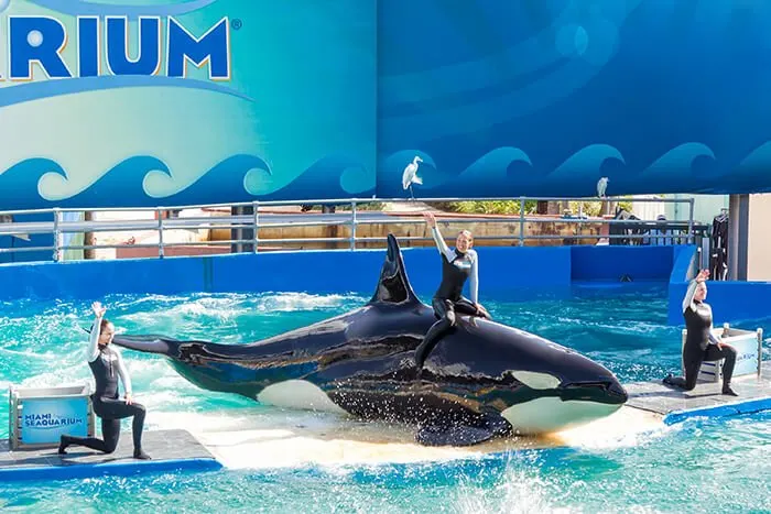 Miami Seaquarium