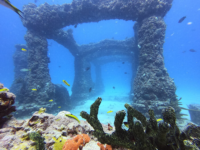 Neptune Memorial Reef