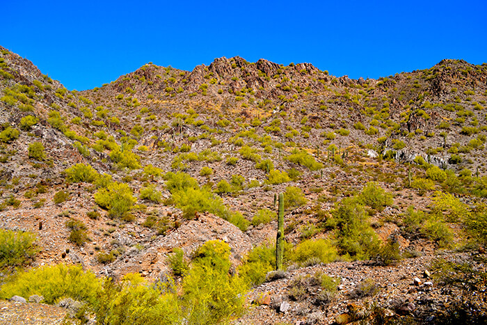 Phoenix Mountains Preserve
