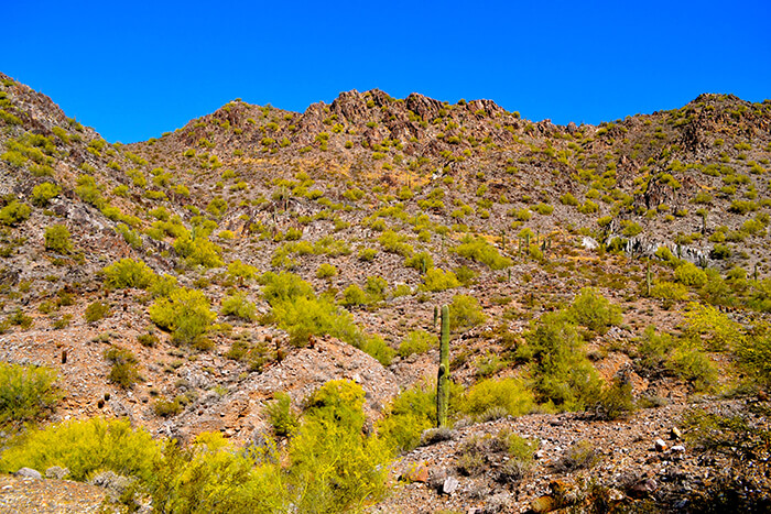 Phoenix Mountains Preserve