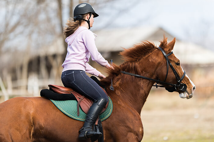 Star Stables Miami