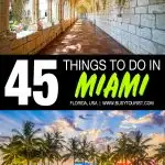 Things To Do In Miami