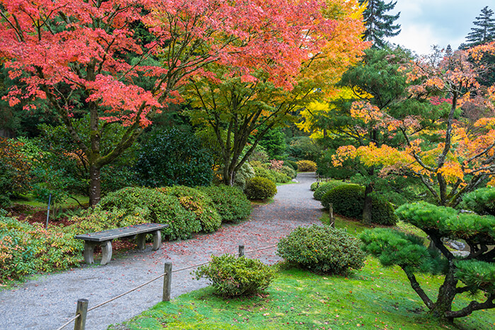 Washington Park Arboretum