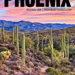 things to do in Phoenix, AZ