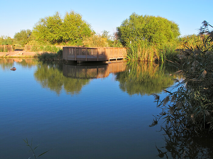 Clark County Wetlands Park