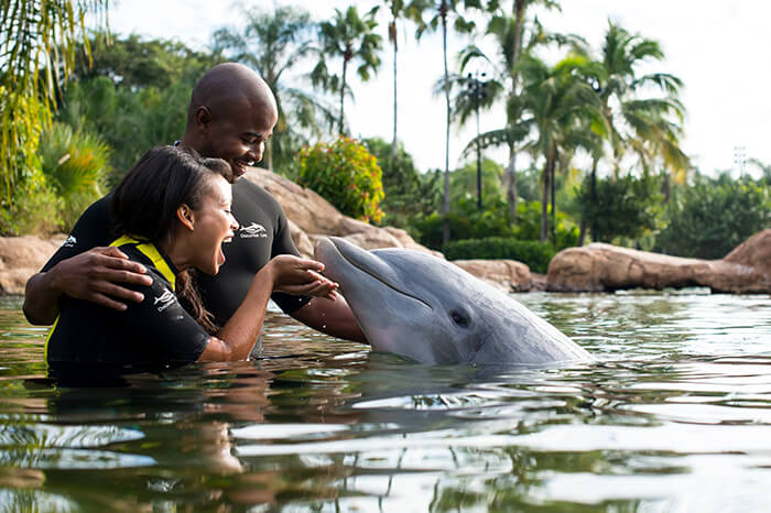 Discovery Cove