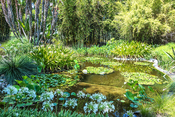 Huntington Library, Art Museum, and Botanical Gardens