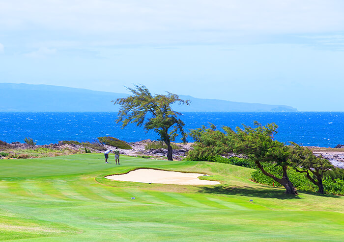 Kapalua Resort Golfing