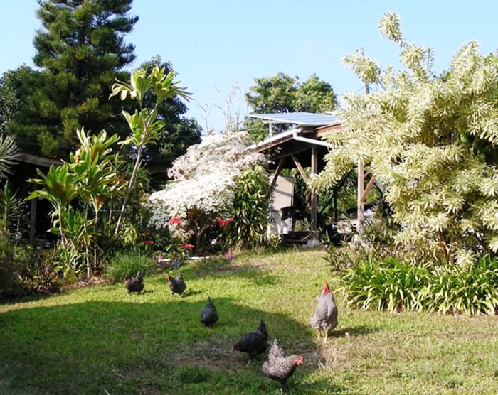 Kuaiwi Farm