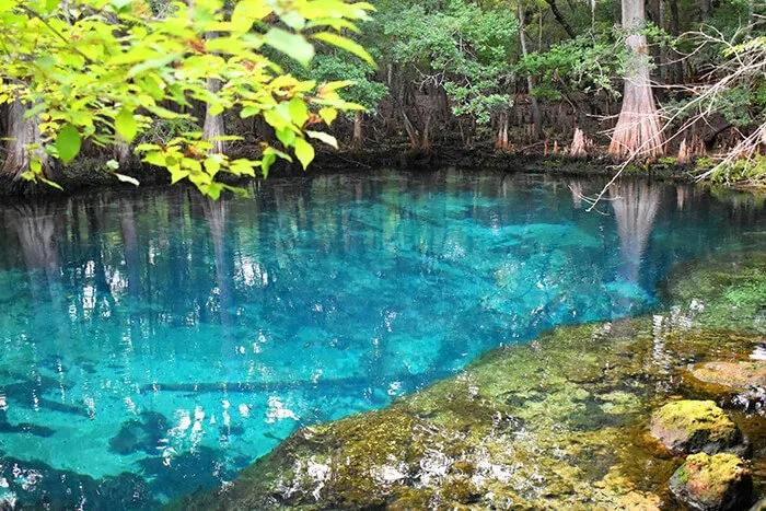 Manatee Springs State Park